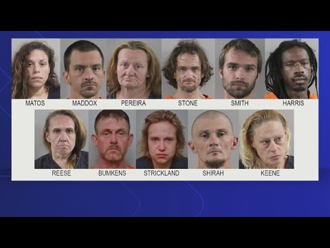 Sheriff Judd says 'cranker colony' worked together to 'devastate' veteran's property