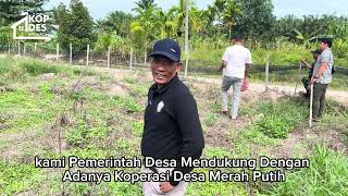 Video Desa 3