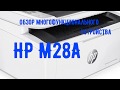 HP W2G54A - відео