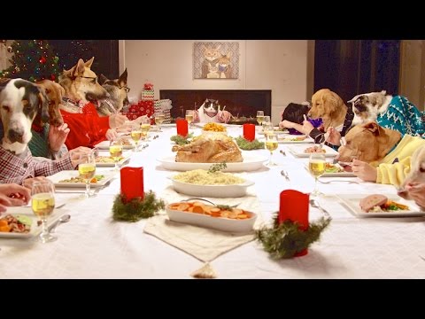 Esse é o vídeo mais divertido do Natal! Uma ceia animal!