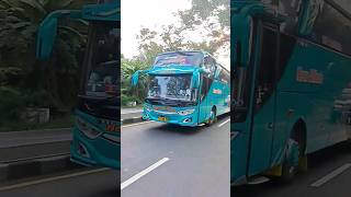 Download lagu Basuri V2 Mengular❓Bus New Atikah Imagination tebar pesona || Lumajangnese #shorts #pakistan mp3 Download lagu Basuri V2 Mengular❓Bus New Atikah Imagination tebar pesona || Lumajangnese #shorts #pakistan mp3