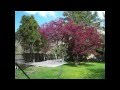 3154 South Clinton