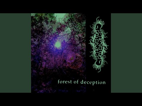 Forest of Deception