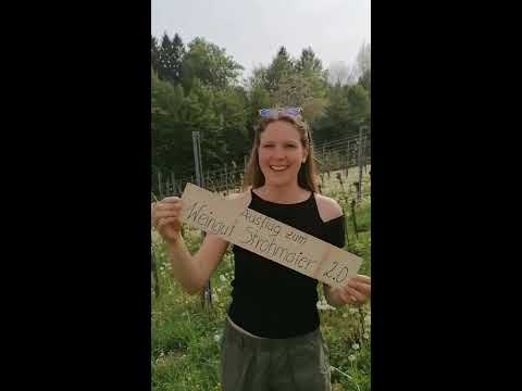 Ausflug zum Weingut Strohmaier 2.0