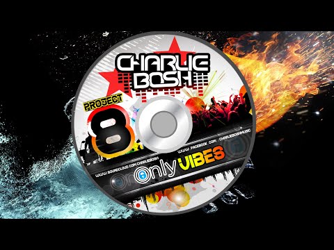 Charlie Bosh - Project 8: OnlyVibes