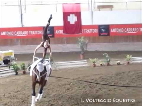 CVI Portogruaro 2016 - Volteggio - Ind 2* s F - 4°Nicola Ditzlmueller