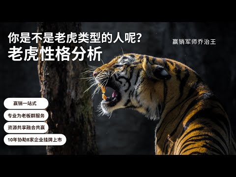 老虎 性格