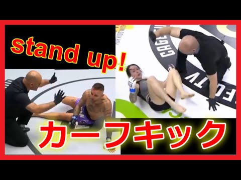 【痛痛痛い！】　カーフキックで繰り出されたKO集　　Too Painful! Compilation of KO by Calf Kicks. Must-see shocking footage