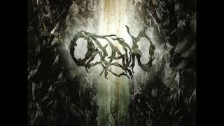 Oceano - empathy for leviathan w/ lyrics.