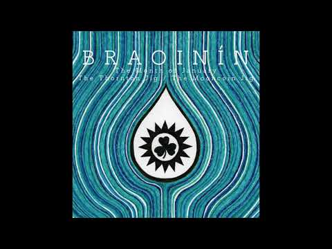 Braoinin - The Month of January / The Thornton Jig / The Mooncoin Jig