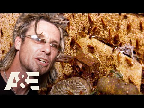 Top 3 HORRIFYING Roach Infestations (Part 2) | Billy the Exterminator | A&E
