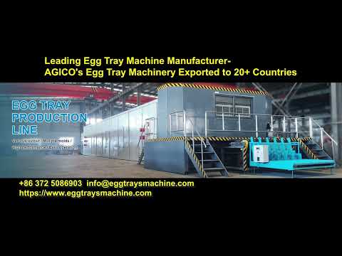Leading Egg Tray Machine Manufacturer: AGICO's Egg Tray Machinery Exported to 20+ Countries