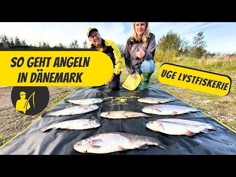 So geht Angeln in Dänemark