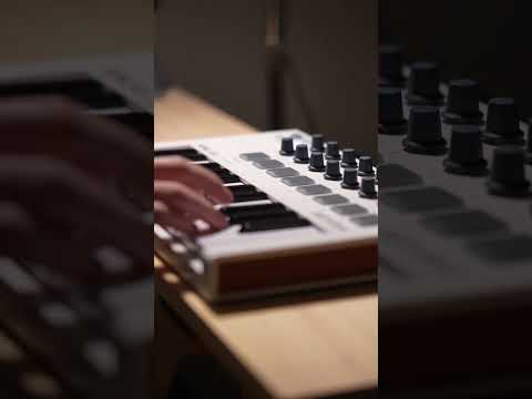 Making a Reggae Type Beat