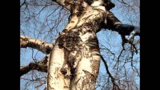 Kultiration - Constant Waterfall