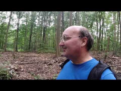 MongoTV_3569 - English Vlog_0205 - Day Before Payday