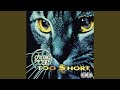 Chase the Cat