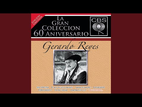 Libro Abierto - Gerardo Reyes