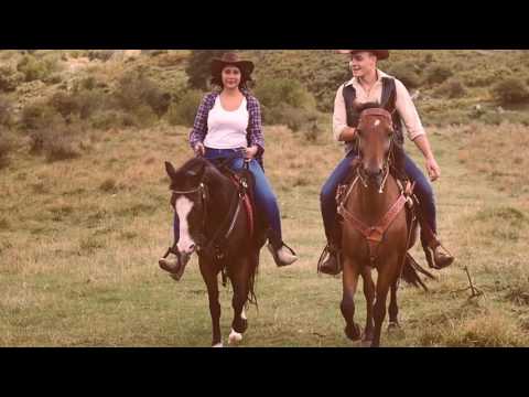 PreciousLand feat. David Persson - Fool (Official Music Video)