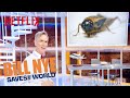 Bill Nye Saves The World - Season 3 | Eating Bugs | Netflix