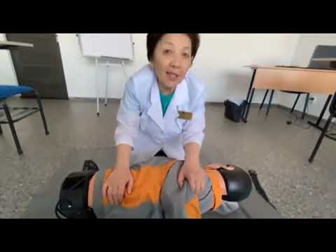 Основа сердечно-легочной реанимации / Ажеева К.С.