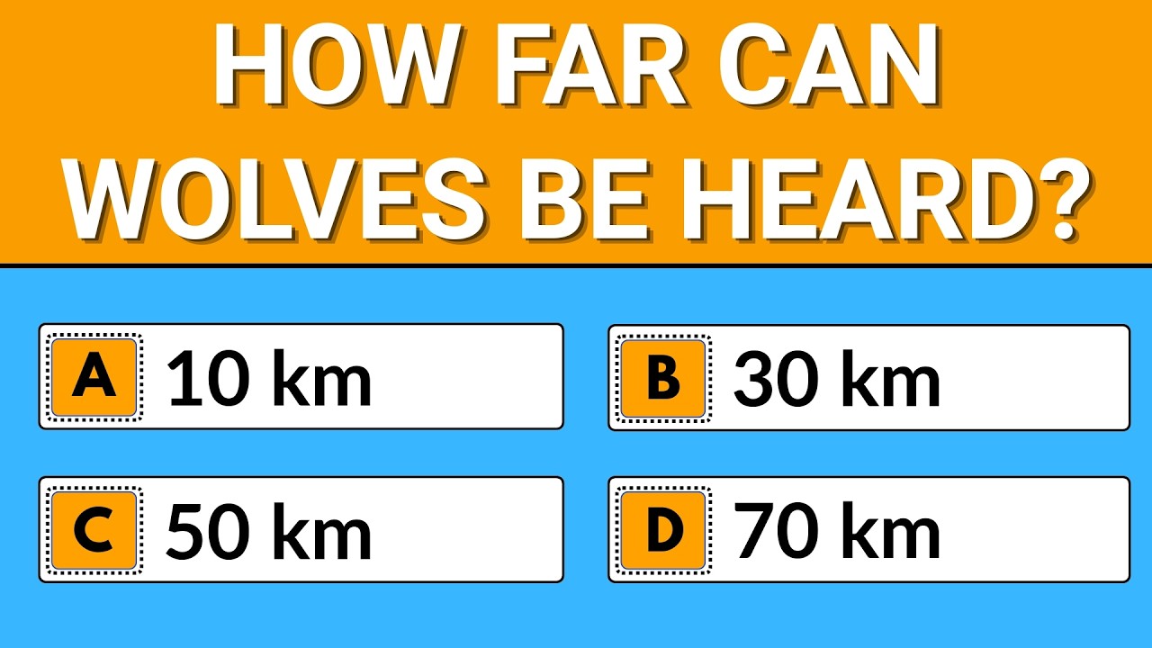 🧠 Can You Score Higher Than 80%? | 30 General Knowledge Questions!