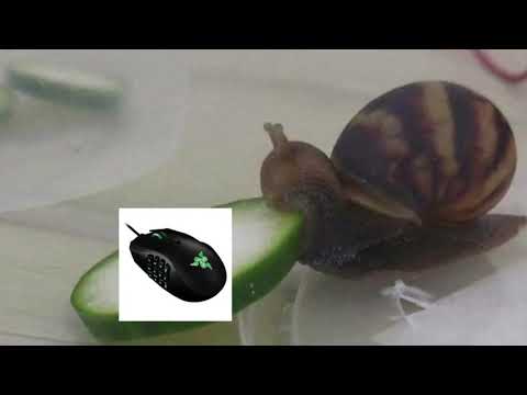 I Want You Back x Skrillex Dubstep remix