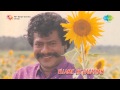 Ellame En Rasathan Veenaikku Veenai Song