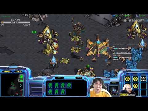 PvZ: nOOB's Basic PvZ guide vs 5 hatch hydra