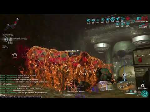 Daikyu + Primer + Vigilante