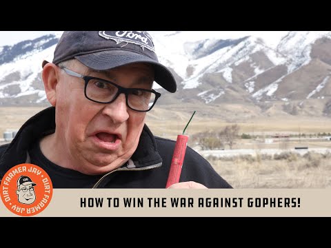 How to Win the War Against Gophers!