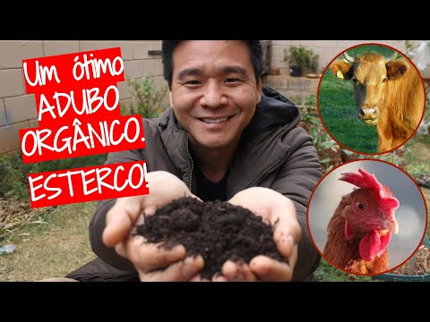 Estercos como adubo orgânico.