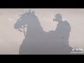 Beautiful Horse Riding Horse Status Riding Horse Riding