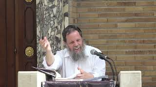 שיעור כללי - ומחוקק מבין רגליו – משפחת אם, הייחוס אחריה והשלכות הלכתיות | הרב אהרן פרידמן, רה"י (ישיבת כרם ביבנה) - התמונה מוצגת ישירות מתוך אתר האינטרנט יוטיוב. זכויות היוצרים בתמונה שייכות ליוצרה. קישור קרדיט למקור התוכן נמצא בתוך דף הסרטון