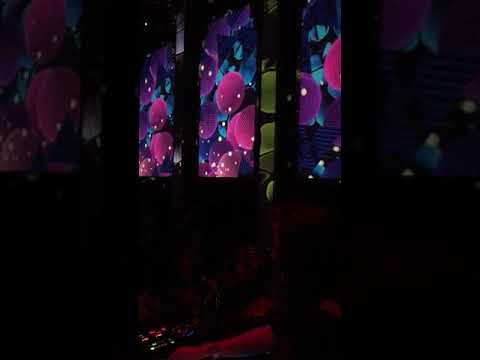 BEC at Kristal Club Bucharest 21st December 2018 part 3