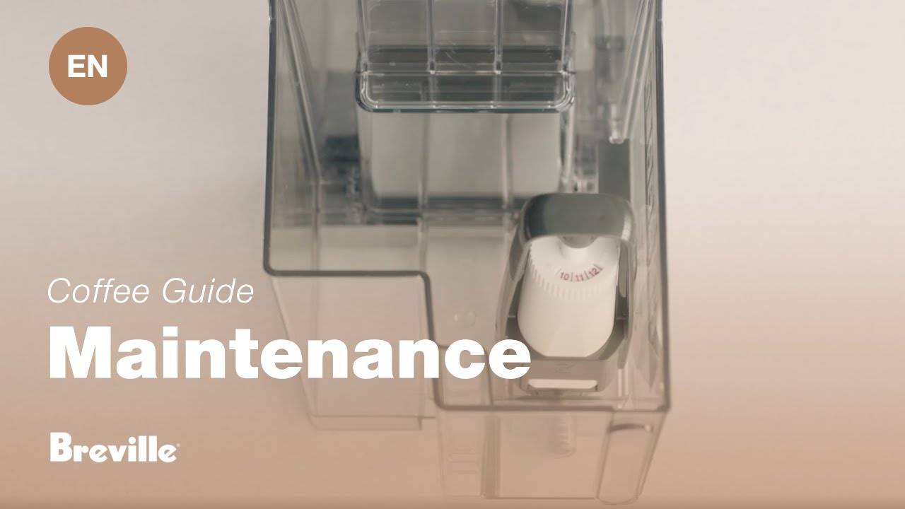 How to replace the water filter