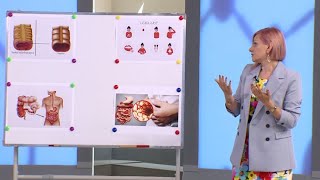 Առաջին օգնություն. Վերականգնողական պլաստիկա