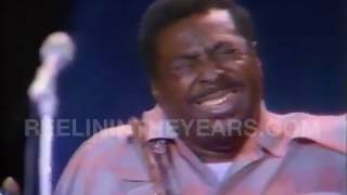 Albert King- &quot;I&#39;ll Play The Blues For You&quot; LIVE 1972 [Reelin&#39; In The Years Archives]