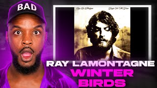 🎵 Ray LaMontagne - Winter Birds REACTION