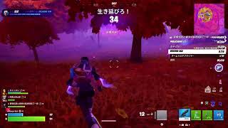 たまにはFortnite