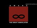 Swans-Mind-Body-Light-Sound