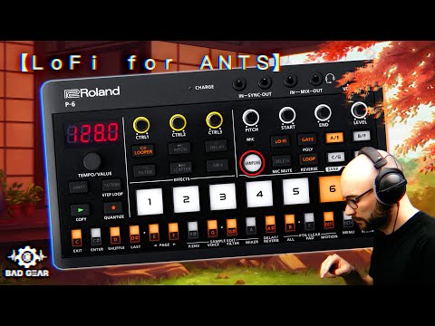 Roland P-6 AIRA Sampler image 5