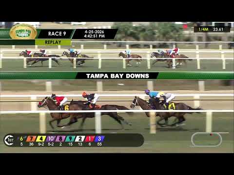 Tampa Bay Downs Live Stream