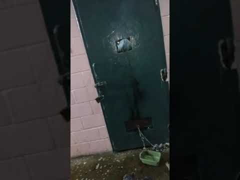 jajaj se prende fuegoooo el gatooooo del huesooooo