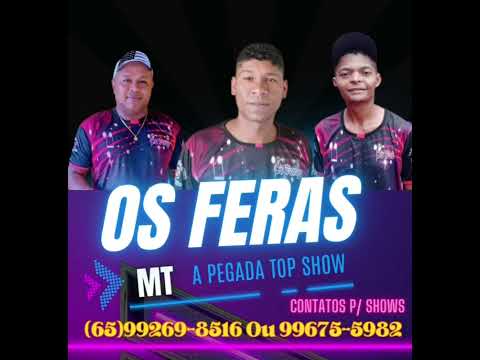 Os Feras MT Ao Vivo No Bailão
