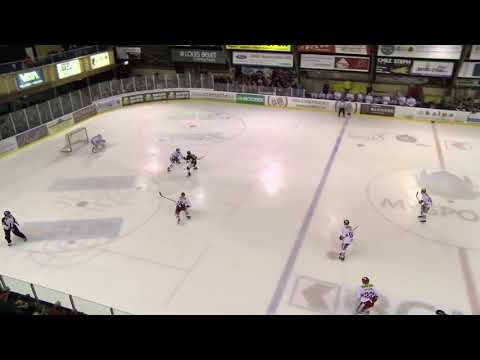 Highlights: HC Ajoie vs SCRJ Lakers