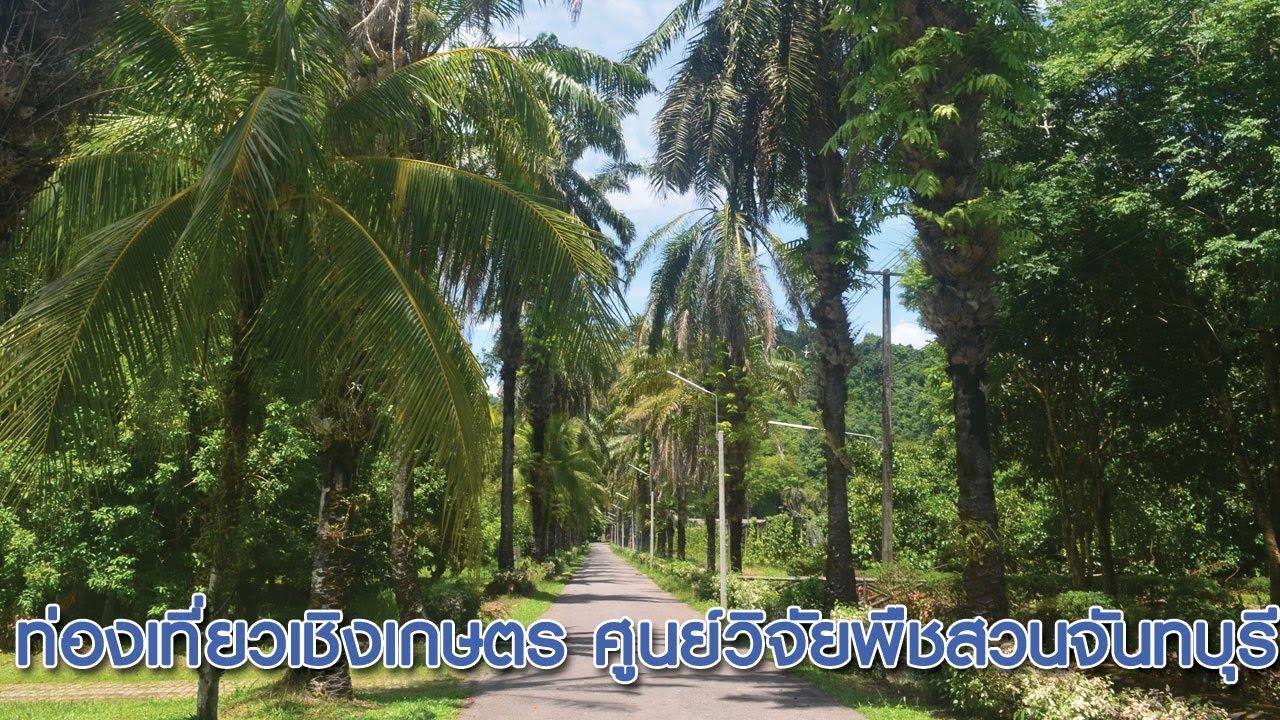 Chantaburi Horticultural Research Centre