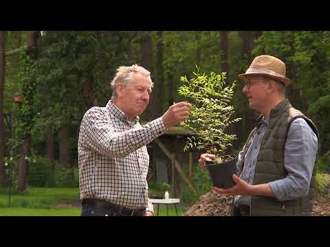 Van Droom tot Tuin - Afl. 2 - Eetbare tuin met wilde kantjes