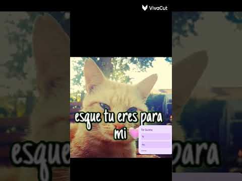 3 de diciembre de 2024