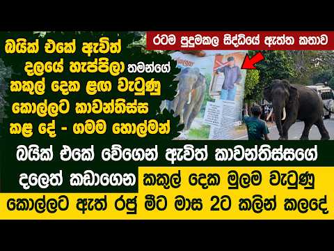 කාවන්තිස්සගේ දලය කැඩිලත් කොල්ලව උසස්පෙළ ලියන්න යවපු කතාව - Kawanthissa Saved an A/L Student